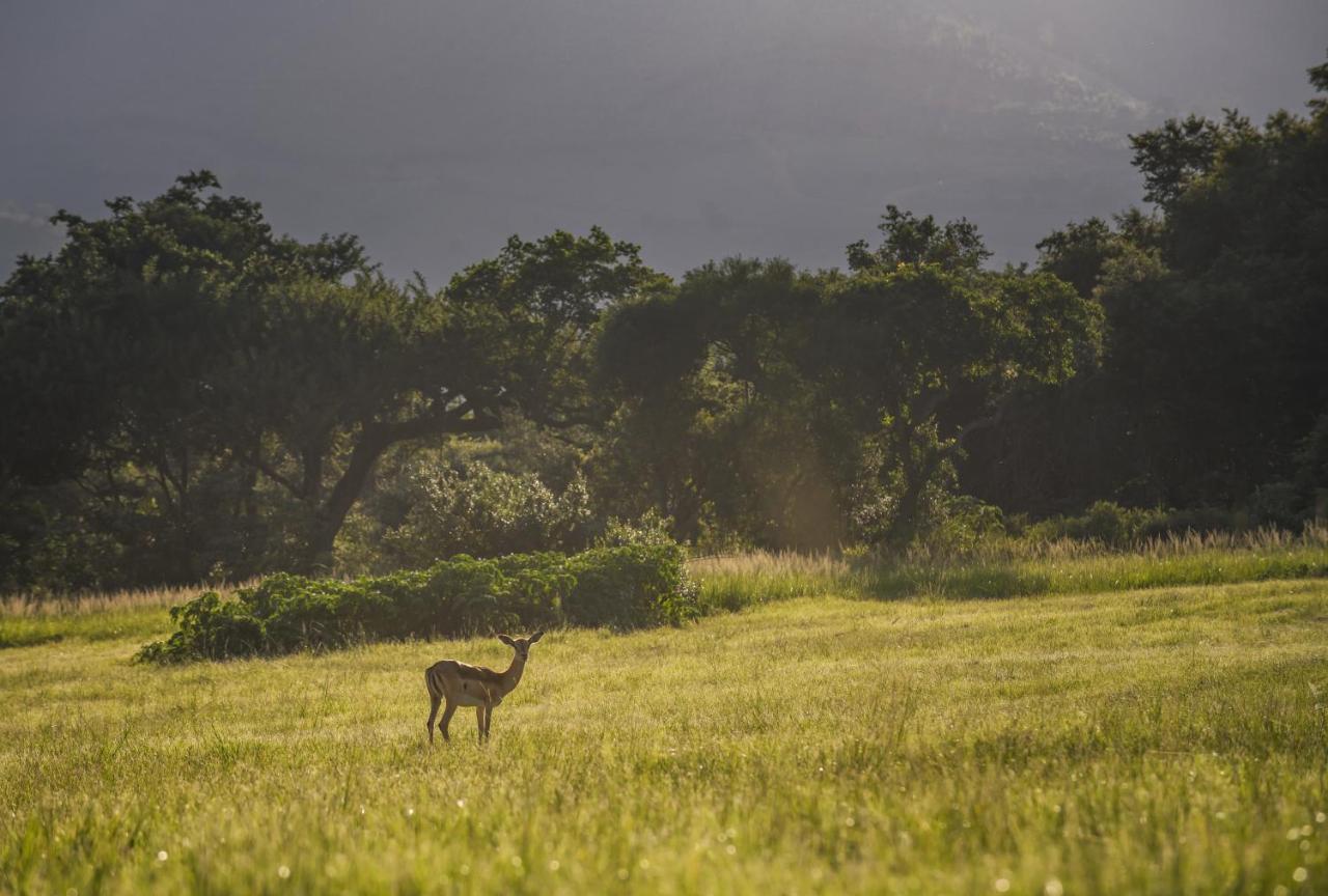 Caracal Lodge Alkmaar المظهر الخارجي الصورة