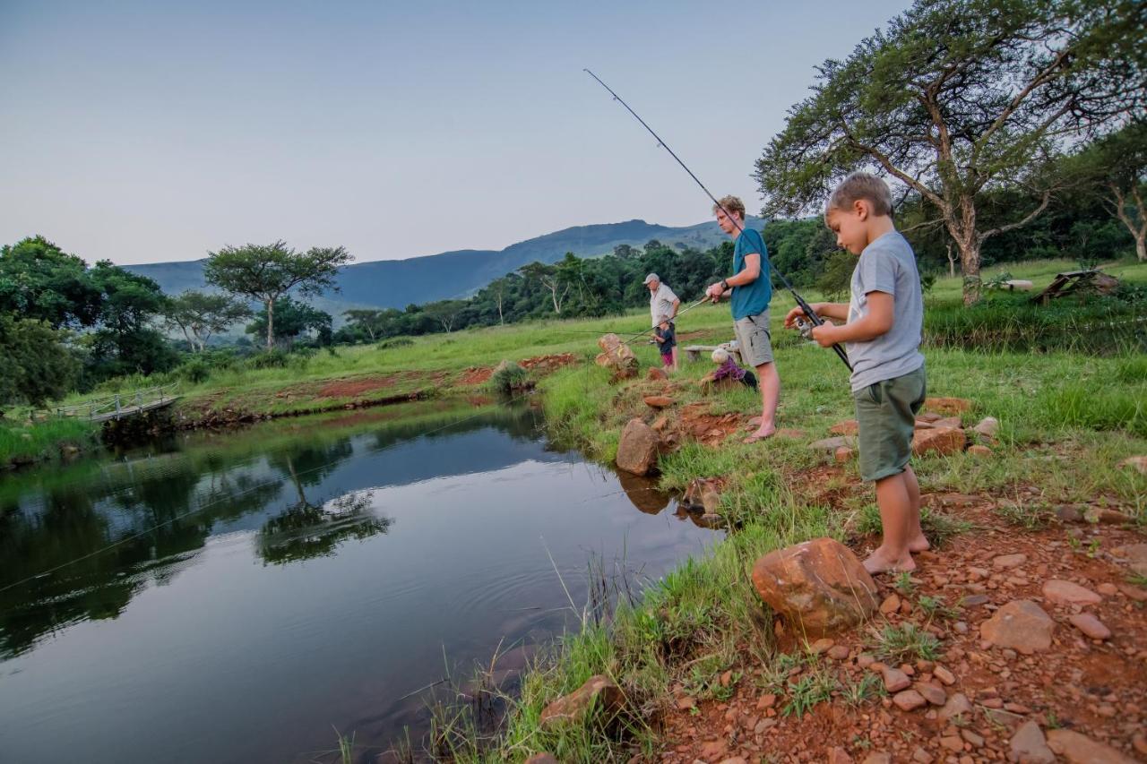 Caracal Lodge Alkmaar المظهر الخارجي الصورة