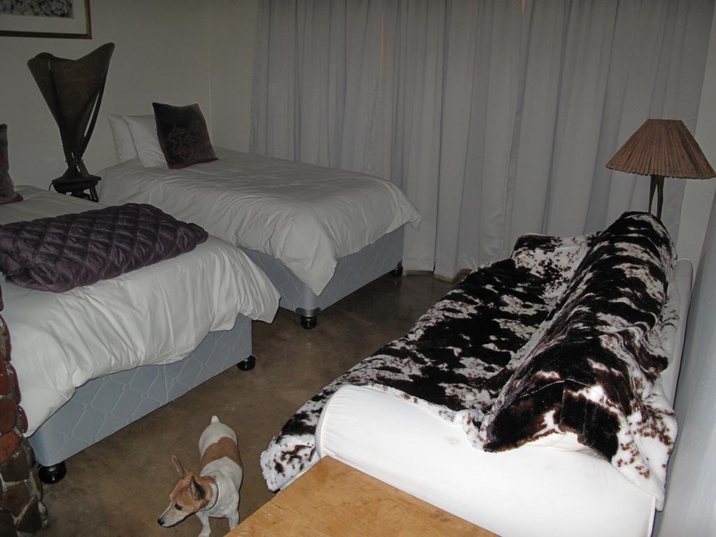 Caracal Lodge Alkmaar المظهر الخارجي الصورة