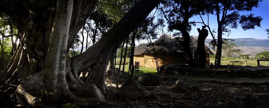 Caracal Lodge Alkmaar الغرفة الصورة