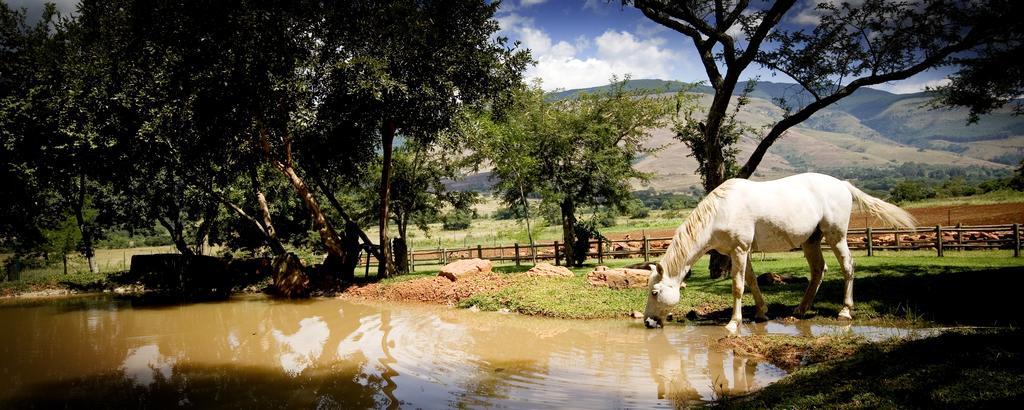 Caracal Lodge Alkmaar الغرفة الصورة