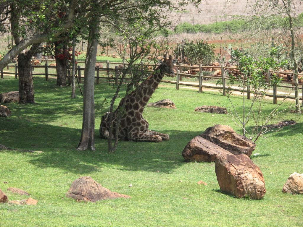 Caracal Lodge Alkmaar المظهر الخارجي الصورة