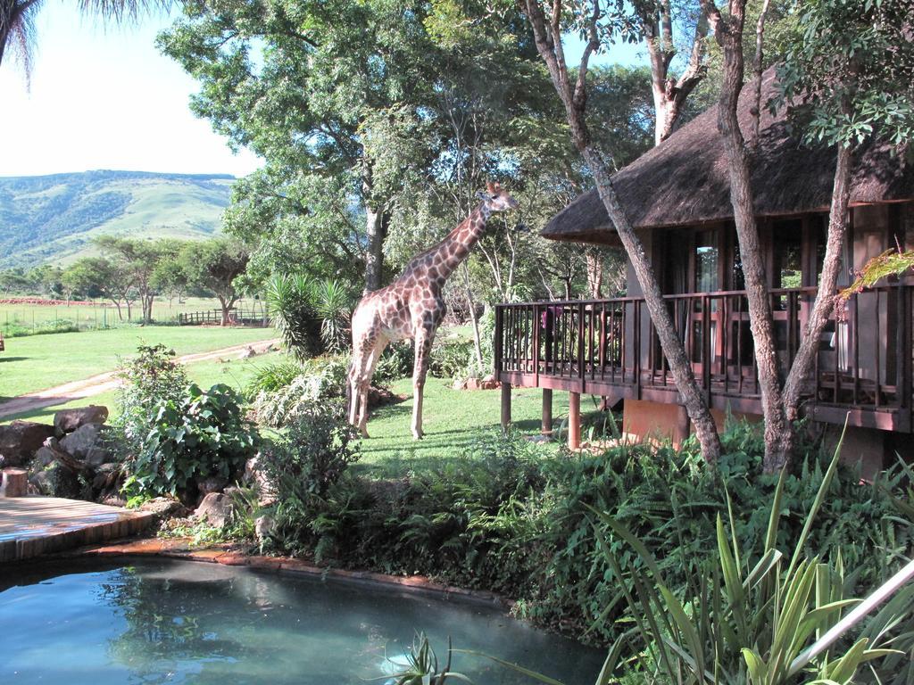 Caracal Lodge Alkmaar المظهر الخارجي الصورة