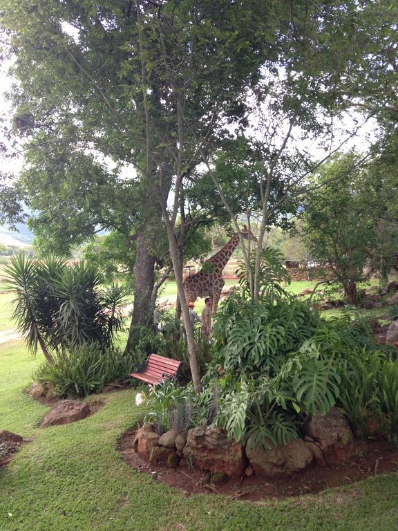 Caracal Lodge Alkmaar المظهر الخارجي الصورة