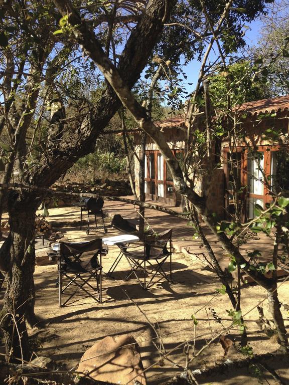 Caracal Lodge Alkmaar الغرفة الصورة