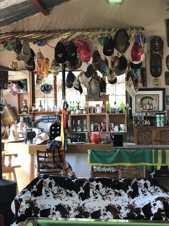 Caracal Lodge Alkmaar المظهر الخارجي الصورة