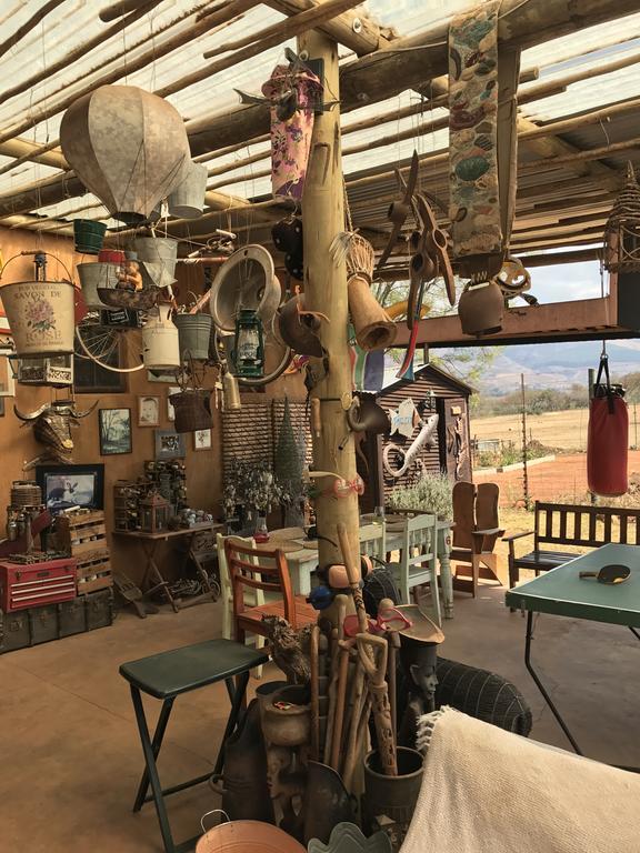 Caracal Lodge Alkmaar المظهر الخارجي الصورة